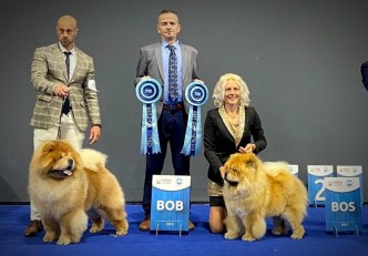 7ade56d6-827c-4ec6-979e-51aa3673e6e6