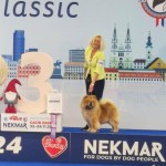 01689a21-ebf2-44d9-a4bd-c70956abbf9c