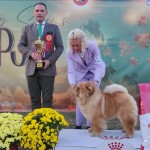 13692e43-48be-46d1-bce7-ed9d6111197a