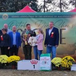 1765dd2b-d581-4f03-8685-e17d319c53a8