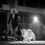 20bf1521-57b1-46c1-b468-0816f1a8cd11