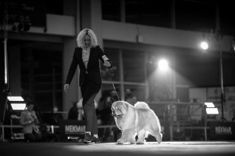 20bf1521-57b1-46c1-b468-0816f1a8cd11