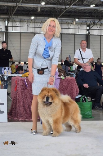 517993600_10233052819756856_9195994282896737809_n