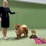 590061015_10234756641911345_4663075361243123462_n-1