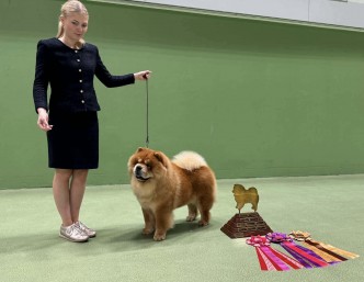 590061015_10234756641911345_4663075361243123462_n-1