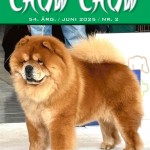 591415965_10234756642551361_5419696697548596214_n