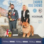 aad48e41-8295-48b8-b414-cb8befea5610