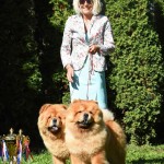 c9c82a6d-7428-4da8-a6e7-2e5db9ce66fd