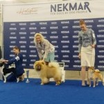 f555cdbb-0ced-41df-aef3-058439279da9