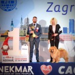 f7fd5154-276e-4e32-ad51-240d9ba0f61a