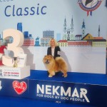 ffab5f65-9214-42cc-b635-057b5201ca20